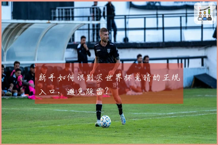 新手如何识别买世界杯竞猜的正规入口，避免踩雷？